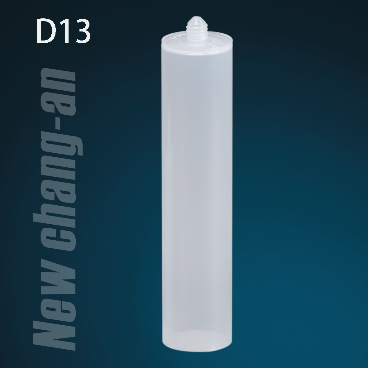 D13